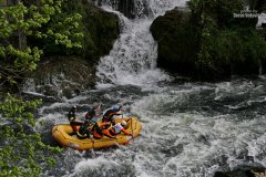IMG_1495.jpg